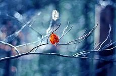 梦见复印机怎么回事 梦见复印机有什么预兆