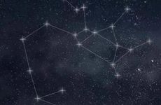 射手座2024年提运指南8月状况