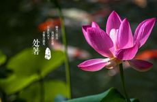 梦见拿刀打架见血是什么预兆