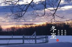 宠物起名特洋气的