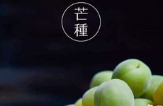 芒种节气吃什么养生 鸭肉和西洋参都很好