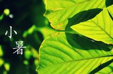 小暑节气的民俗活动及养生秘诀