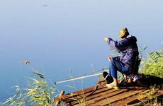 梦见香椿树怎么回事 梦见香椿树有什么预兆