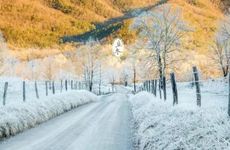 立冬结婚办喜事好吗