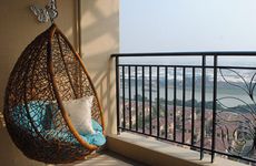 客厅适合放什么花旺财 吊兰旺财虎皮兰好