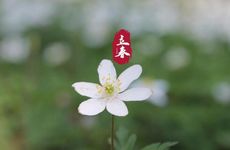 2022年立春躲春是一人一屋吗