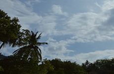 关于三伏天出伏的诗有哪些 三伏天宜静还是宜动