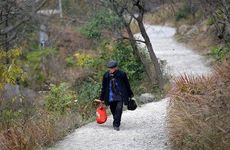 梦见过年预兆着什么