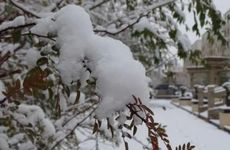 2023除夕的饮食习俗和禁忌