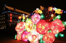 梦见不同动物的征兆