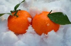 2024年大寒时间 2024大寒是几月几号