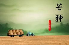 2024年芒种出生的男孩好不好 建功立业且权势超群