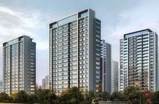 招财绿植有哪些 养金钱树能招财