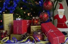 门前种茶花断子绝孙是什么说法 是断头花吗