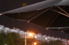 今日生肖相冲查询 2022年12月12日农历十一月十九