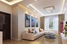 家中放什么镇宅去病 进门第一眼看到什么最好