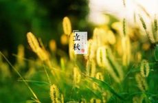 2024年三九天是从什么时候开始至结束