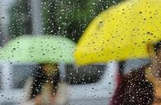 雨水节气几点到2023 雨水节气什么时候结束