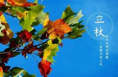 今日生肖相冲 2024年8月6日时辰相冲对照表