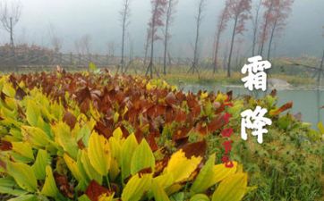 【传统文化】二十四节气之第十八个节气——霜降（节气介绍）