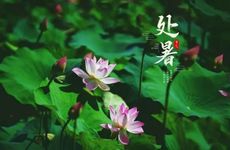 【职场】12星座被潜指数