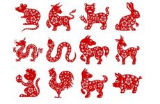 这些生肖贵人如何影响属虎人的幸福与成功