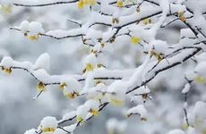 处座男对睡过的女生的表现 处座男的备胎和真爱