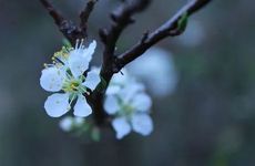 2024年立春是哪一天？ 2024年立春是哪一天啊