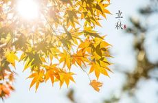 做梦梦见打井代表什么？