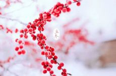 2022年立冬死人可以下葬吗 立冬前后多少天不能下葬