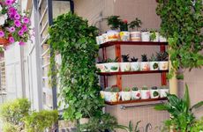 镇宅石用什么石头？镇宅石怎样摆放比较好？