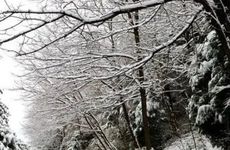 梦见到自己在拉屎是什么意思 做梦梦见自己拉屎有什么预兆