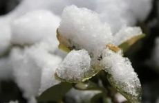谷雨节气的风俗活动及养生知识