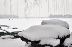 2023年入伏是哪一天 2023三伏时间表