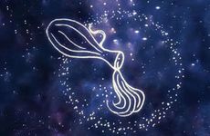 水瓶座十一月份2024年运势及运程