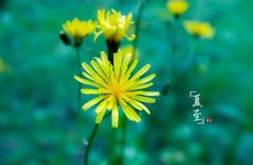 梦见日食月食　周公解梦之梦到日食月食