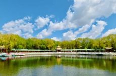 2024年小满可以种什么菜 萝卜黄瓜冬瓜