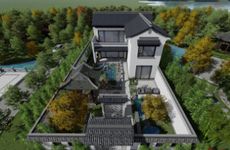 改善家居环境 种什么植物能净化空气富贵竹