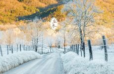 2023年一九是哪天