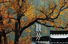 梦见员工车祸死亡