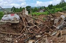 圣诞树是什么树 手工制作方法