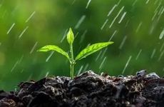 乙丑遇2023癸卯流年怎么样 乙丑为什么特别