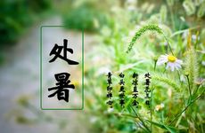 生肖中最长寿的属相