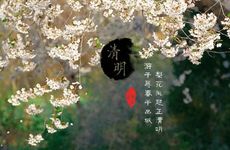 清明节的活动及养生方法