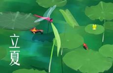 2024年立夏怀孕好吗？立夏节气可以同房吗？