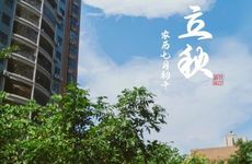 2024年立秋在几伏 立秋在中伏气候会怎样