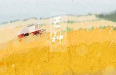 梦见光脚丫怎么回事 梦见光脚丫有什么预兆