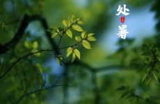 梦见官材是什么预兆 梦见棺材怎么回事