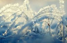 做梦梦见暗恋的人预示什么