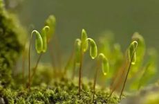 大年初二是什么日子 不同地区的习俗